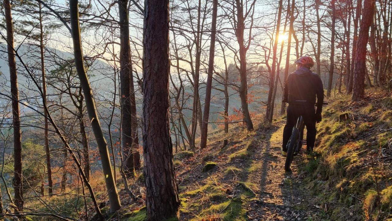 Вилла Exklusives Holzhaus Mit Bergbahn - Baden-Baden Im Schwarzwald Экстерьер фото